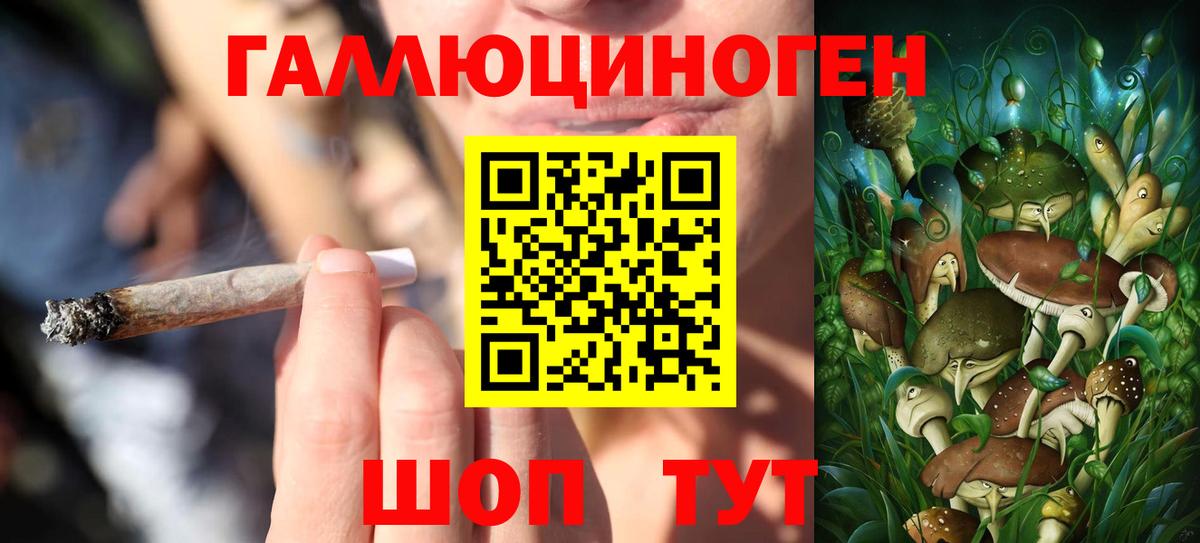 Псилоцибиновые грибы прущие грибы Фрязино