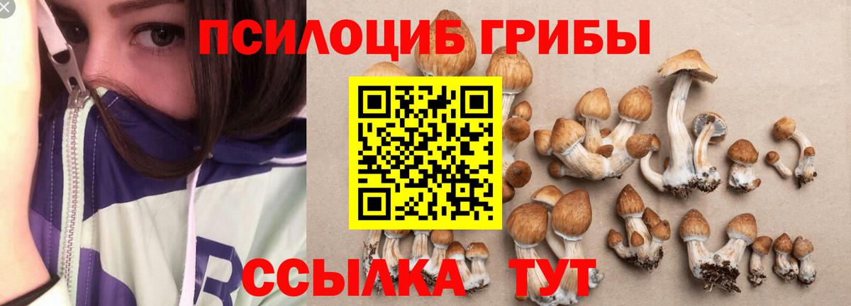 Галлюциногенные грибы Magic Shrooms  Вход с VPN  Фрязино 