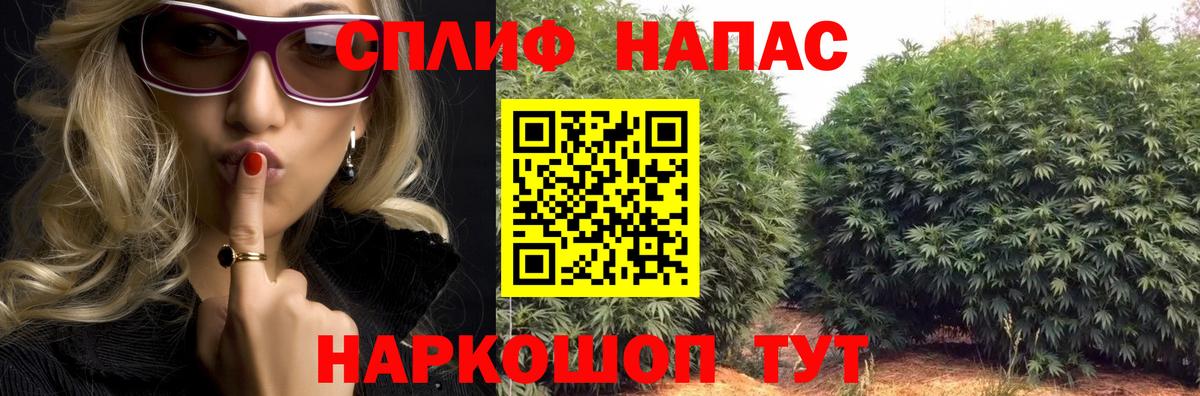 Фрязино  Бошки марихуана планчик  Бошки Шишки марихуана  Каннабис MAZAR  Вход с VPN 