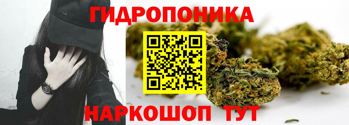 МАРИХУАНА сатива Фрязино